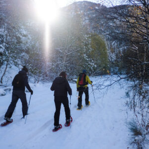 iWE: Agencia Líder de Turismo Activo- Caminata con raquetas para nieve en los Pirineos -El Bosque nativo en invierno. Experiencia en Grupo-Pirineo- - Viajes en familia-Bosque Andorrano-Atardecer