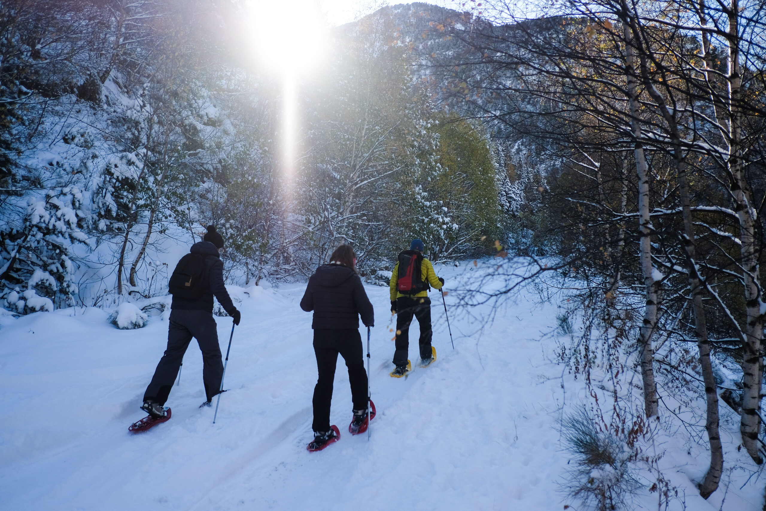 iWE: Agencia Líder de Turismo Activo- Caminata con raquetas para nieve en los Pirineos -El Bosque nativo en invierno. Experiencia en Grupo-Pirineo- - Viajes en familia-Bosque Andorrano-Atardecer